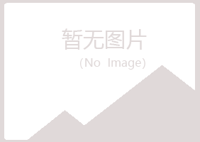 宝山区梦岚公益组织有限公司